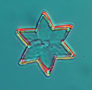 twin crystal
